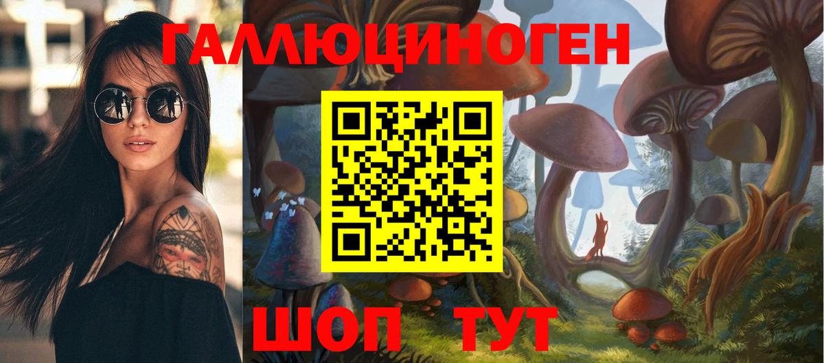 Крымск  Псилоцибиновые грибы Cubensis  Вход с VPN 