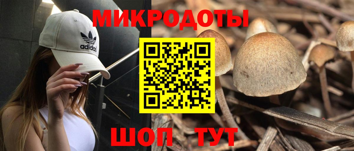 Галлюциногенные грибы Cubensis Крымск