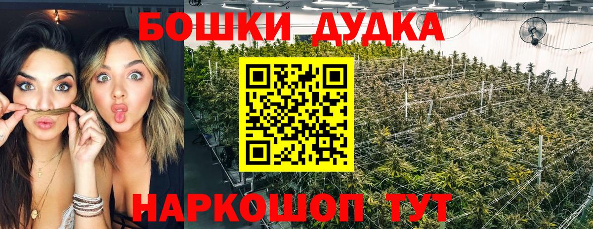 Шишки марихуана семена Крымск